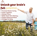 infinity-memory-and-focus-supplement-sup-2.jpg