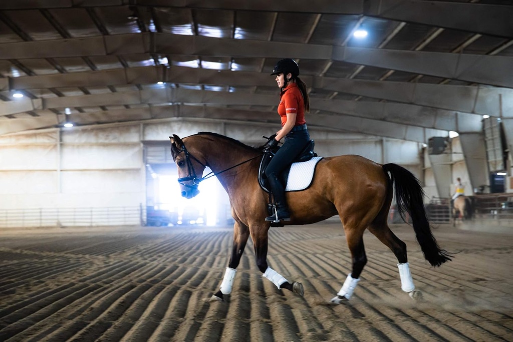 pre-performance-calming-paste-for-horses-4.jpg