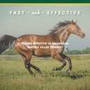 corta-flx-u-gard-powder-equine-digestive-4.jpg