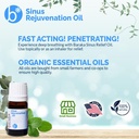 baraka-sinus-rejuvenation-oil-blend-of-6-2.jpg