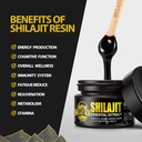 shilajit-pure-himalayan-organic-shilajit-2.jpg