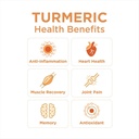 turmeric-gingerade-ginger-soother-by-the-5.jpg