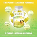 sugar-free-creatine-monohydrate-for-men--5.jpg