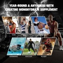 sugar-free-creatine-monohydrate-for-men--6.jpg