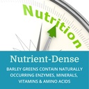 alkagreen-tablets-6-pack-best-process-al-6.jpg