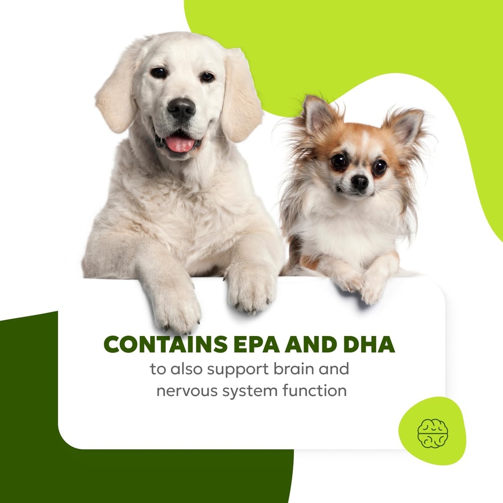 allergy-itch-relief-for-dogs-skin-coat-s-6.jpg