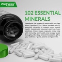 irish-sea-moss-capsules-17-in-1-seamoss--4.jpg