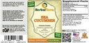 herbal-terra-llc-sea-cucumber-cucumaria--2.jpg