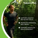 natures-plus-paba-sustained-release-para-4.jpg
