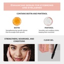 diana-herrera-brow-and-lash-enhancing-se-3.jpg