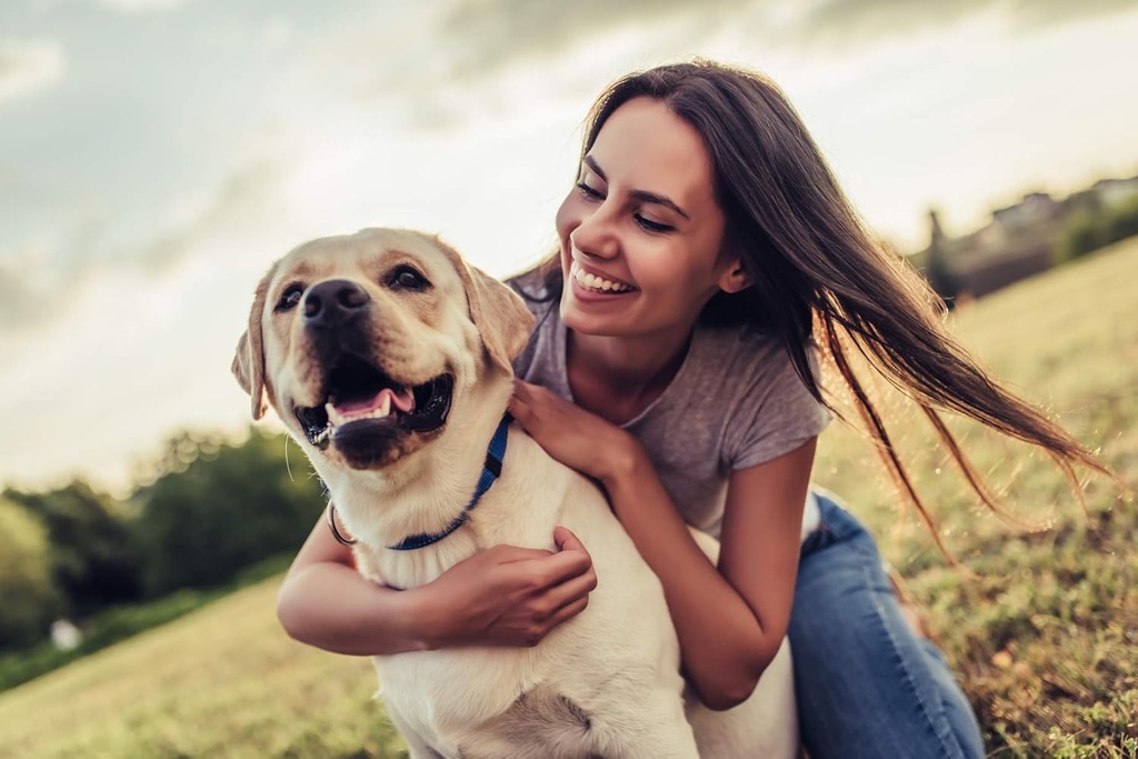 dog-urinary-incontinence-natural-remedie-2.jpg