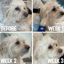 bodhi-dog-tear-stain-remover---removes-t-4.jpg