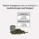 perfect-products-eq-gastroease-advanced--6.jpg