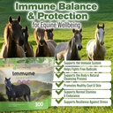 silver-lining-herbs-immune-support-for-h-2.jpg