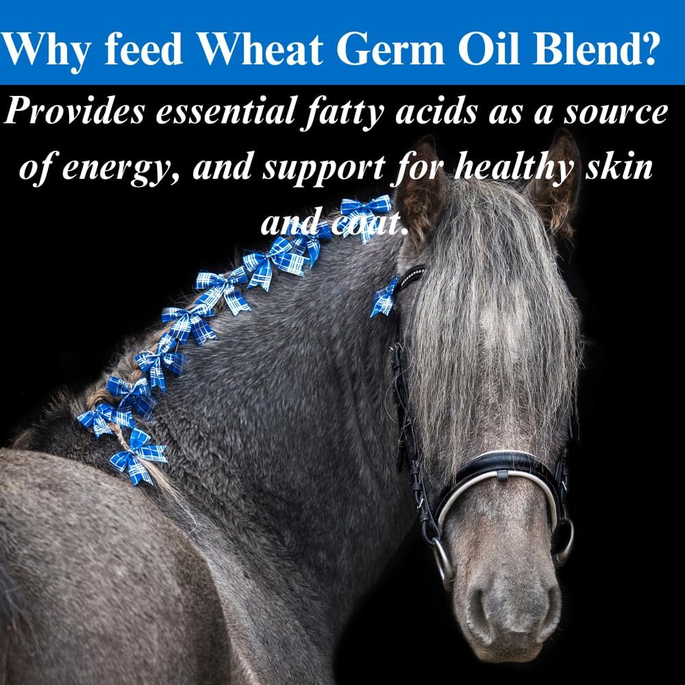 su-per-wheat-germ-oil-blend-for-horses---3.jpg