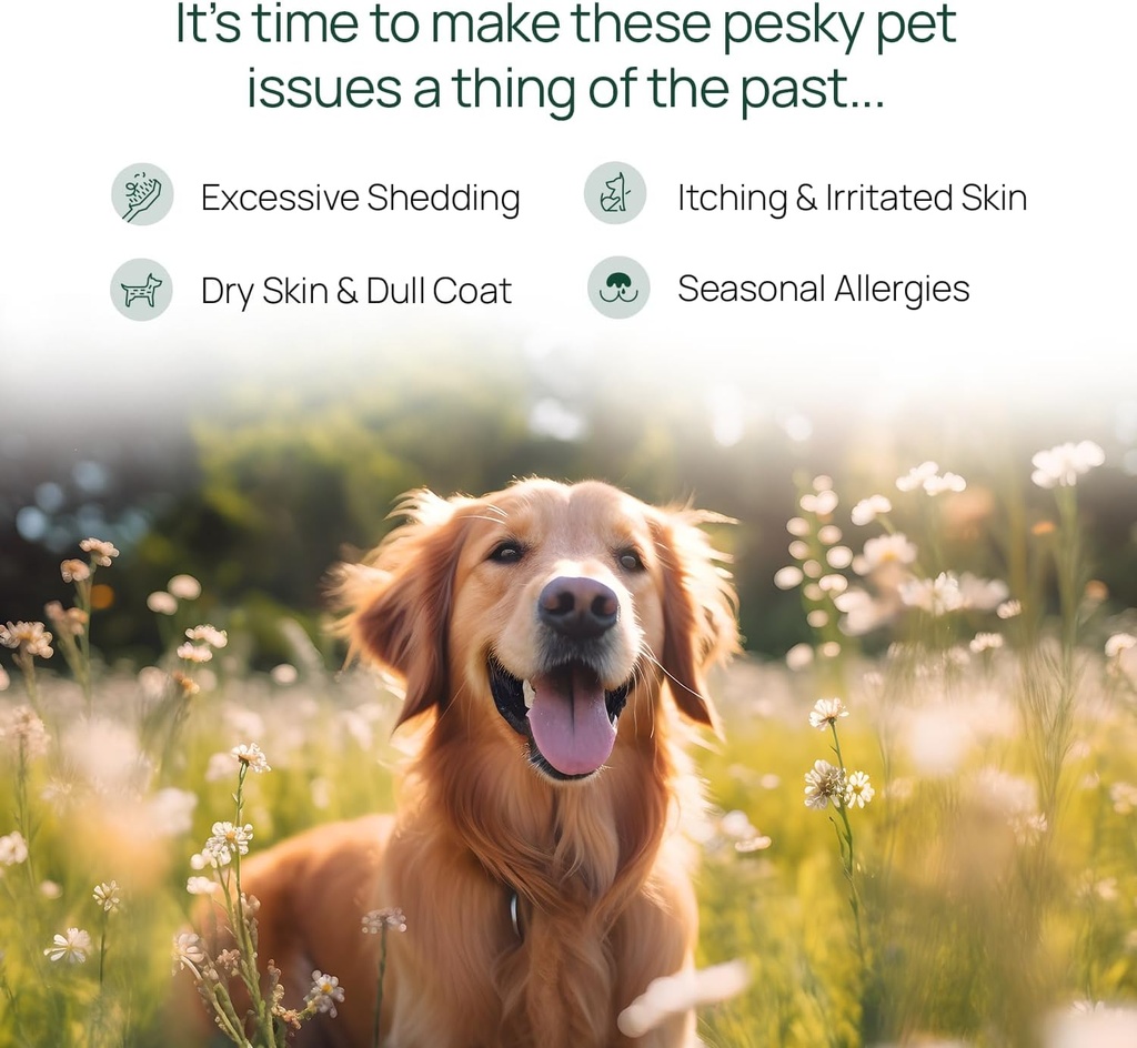 pawtree-salmon-oil-dog-and-cat-fish-oil--2.jpg