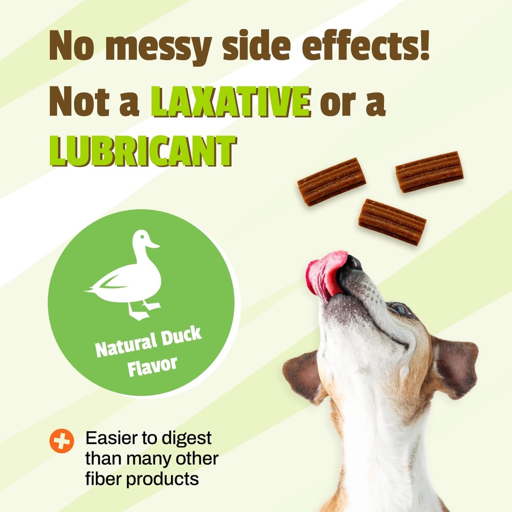 pet-naturals-scoot-bars-for-dogs-digesti-5.jpg
