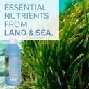 youngevity-body-balance-land-sea-plant-b-4.jpg