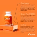power-energy-stamina---mushroom-suppleme-3.jpg
