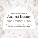 anima-mundi-apothecary-stone-breaker-cha-3.jpg