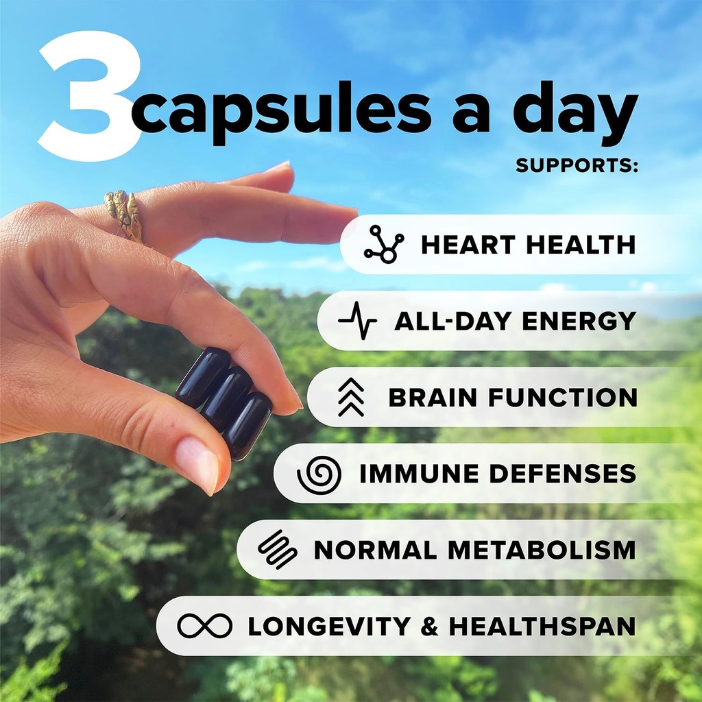complement-gut-nurture-essential-multivi-5.jpg