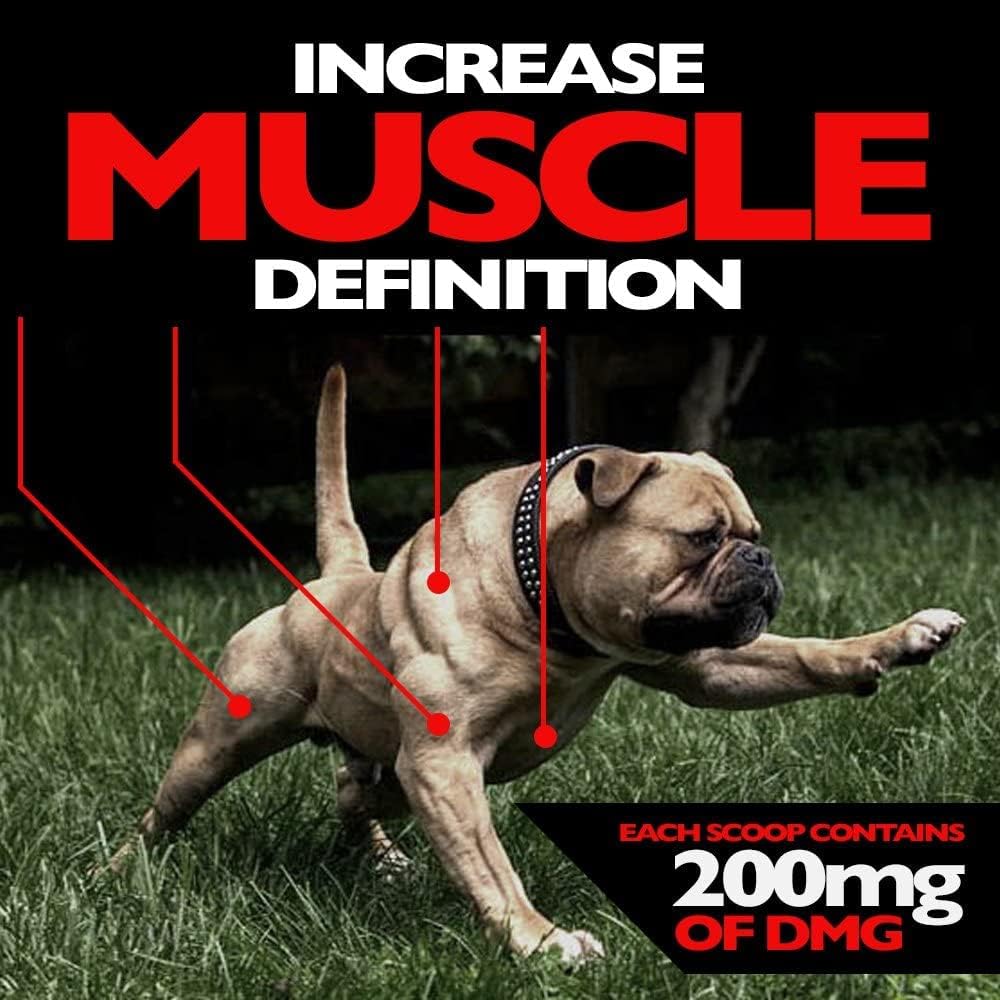 muscle-builder-for-dogs---combines-clini-5.jpg