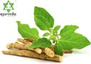 organic-ashwagandha-root-powder-529oz-re-4.jpg