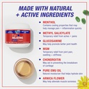 blue-goo-maximum-strength-pain-relieving-2.jpg