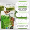 powdervitamin-organic-ceremonial-mushroo-5.jpg