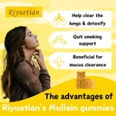 mullein-gummies-2000mg-organic-mullein-l-3.jpg