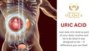 uric-acid-support-formula---uric-acid-he-6.jpg