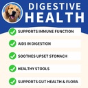 probiotics-for-dogs---improve-itchy-skin-4.jpg