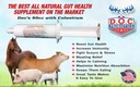 doc-probiotics-80cc-colostrum-paste-preb-2.jpg