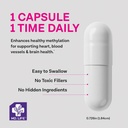 md-life-l-methylfolate-15-mg-supplement--2.jpg