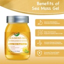 seamoss-gelseamoss-with-irish-sea-mossse-2.jpg
