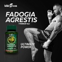 kiki-green-fadogia-agrestis-and-tongkat--5.jpg