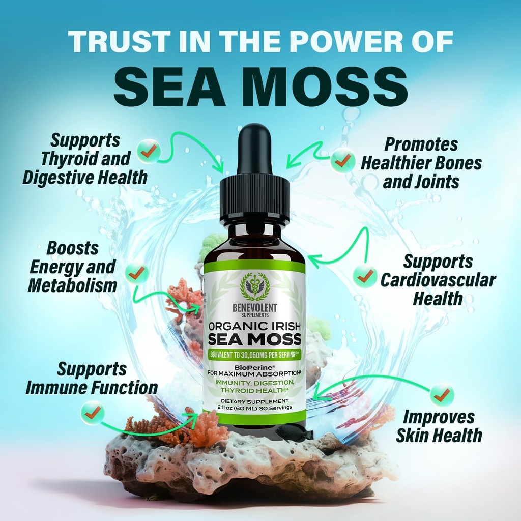 benevolent-nourishment-organic-irish-sea-2.jpg