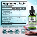 benevolent-nourishment-organic-irish-sea-3.jpg