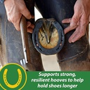 farnam-hb-15-hoof-supplement-supports-he-3.jpg