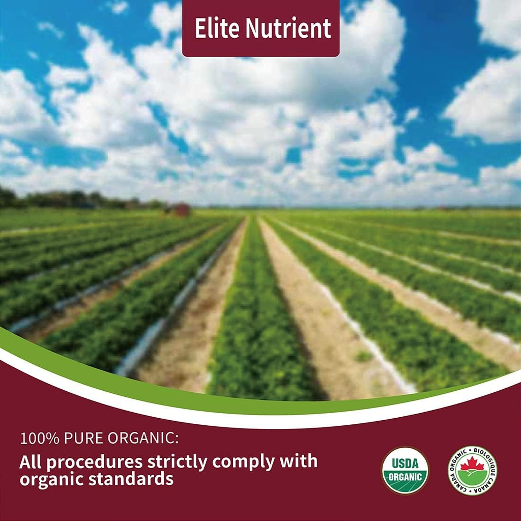 organic-beet-root-powder-non-gmo-gluten--3.jpg