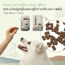 lovnheal-pet-poop-digestion-general-gut--4.jpg
