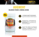 adeptus-nutrition-augment-vitamin-minera-2.jpg