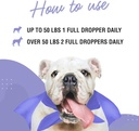 wonder-paws-premium-dmg-liquid-plus-omeg-6.jpg