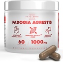 tudca-fadogia-agrestis-salt-supplement-f-2.jpg