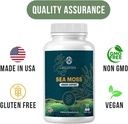 sea-moss-gummies-immune-strength-skin-he-5.jpg