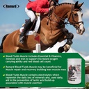 ramard-muscle-builder-blood-replenishmen-2.jpg