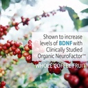 garden-of-life-dr-formulated-memory-focu-3.jpg
