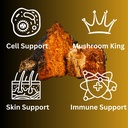 magmushroom-chaga-mushroom-extract-liqui-4.jpg