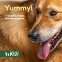 liver-kidney-supplement-dog-detox-chews--4.jpg