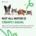 alkazone-alkaline-multi-mineral-drops-fo-4.jpg